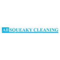 All Squeaky Cleaning Logo