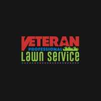 Veteran Professional Lawn Service, LLC Logo