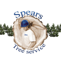 Spears Tree Service Logo