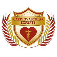 Cardiovascular Experts Logo