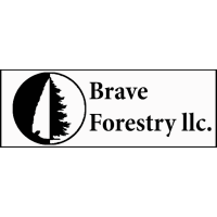 Brave Forestry LLC Logo