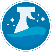 Tidy & Shine Logo