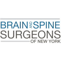 Brain and Spine Surgeons of New York Logo