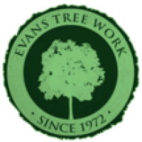 Evans Tree Work Logo