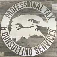 Professional Tax & Consulting Services Logo