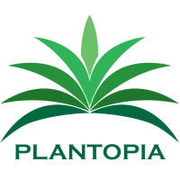 Plantopia Inc - Indoor Plant Maintenance - Affordable Design & Installation Logo