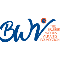 The Bruiser Woods Vilkaitis Foundation Logo