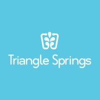 Triangle Springs Logo