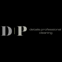 Details Professional Cleaning Logo