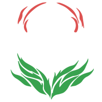 FREEDOM PHOENIX Logo