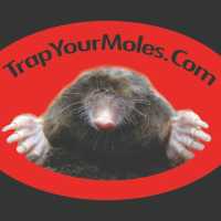 Trap Your Moles Logo