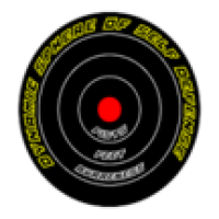Dynamic Sphere of Self Defense Logo