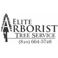 Elite Arborist LLC Logo