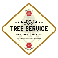 Dylan's Tree Services & Landscaping Logo