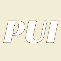 Pawn Usa Inc Logo