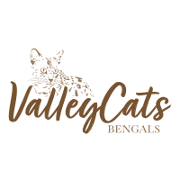 Valley Cats Bengals Logo