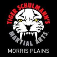 Tiger Schulmann's Martial Arts (Morris Plains, NJ) Logo