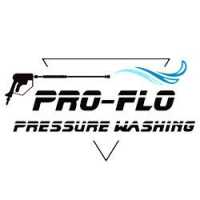 Pro-Flo Pressure Washing Logo