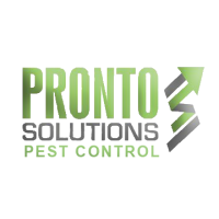 Pronto Solutions Logo