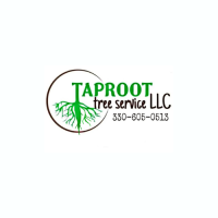 Taproot Tree Service Logo