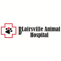 Blairsville Animal Hospital Logo