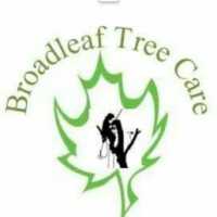 Broadleaf Tree Care Logo