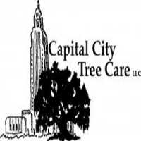 Capital City Tree Care Logo