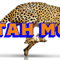 Cheetah Moving Logo