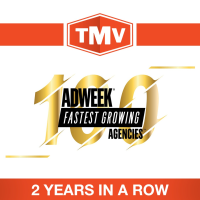 TMV Group Logo