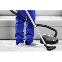Save on Carpet Cleaning Logo