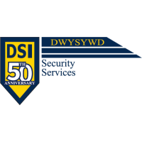 DSI Security, Inc. Logo
