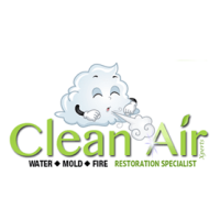 Clean Air Xperts Logo
