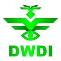 DWDI Logo