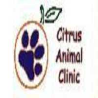Citrus Animal Clinic Logo