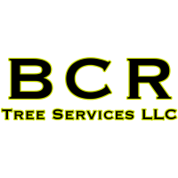 BCR Tree Services LLC Logo