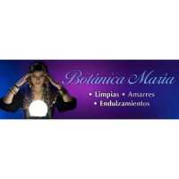 BotaÌnica Maria Logo