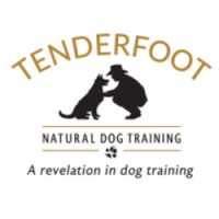 Tenderfoot Training Logo