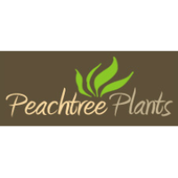 Peachtree Plants Logo