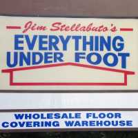 Jim Stellabuto's Everything Under Foot Logo