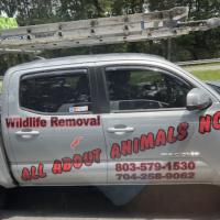 All About Animals NC - Squirrel Removal & Wildlife Removal Logo