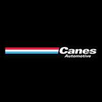 Canes Automotive LLC Logo