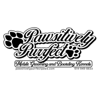Pawsitively Purrfect Logo