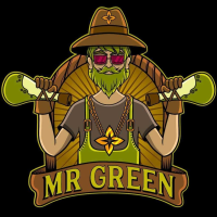 Ganja City (Mr. Green - Norman) Logo