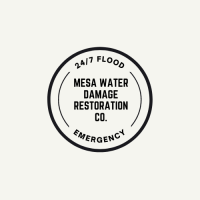 Disaster Services Mesa Logo