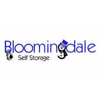 Bloomingdale Self Storage Logo