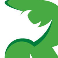 Rhino Removal Logo