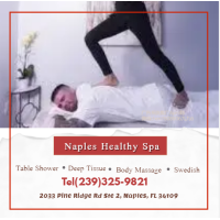 Naples Healthy Spa Logo