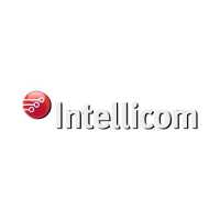 Intellicom Logo