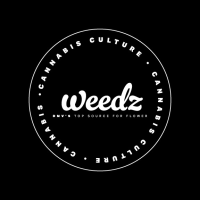 Weedz DC | Weed & Marijuana Delivery Logo