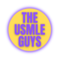 The USMLE Guys Logo
